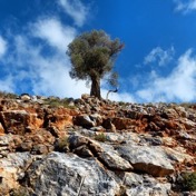 early booking destinazione GRECIA isole cicladi dodecanneso piccole cicladi creta sporadi ionie mare egeo